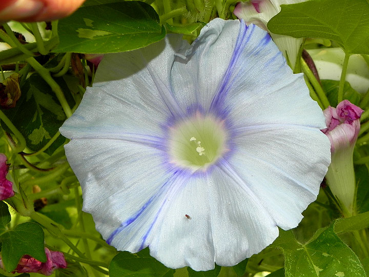 DSCN6765