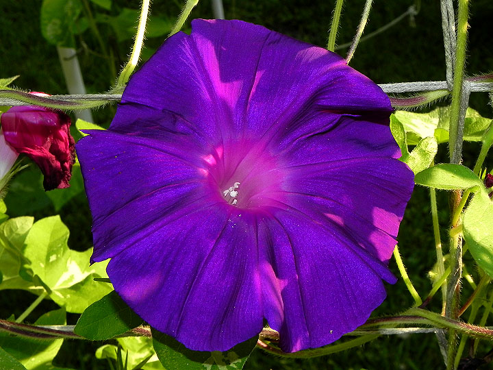 DSCN6771