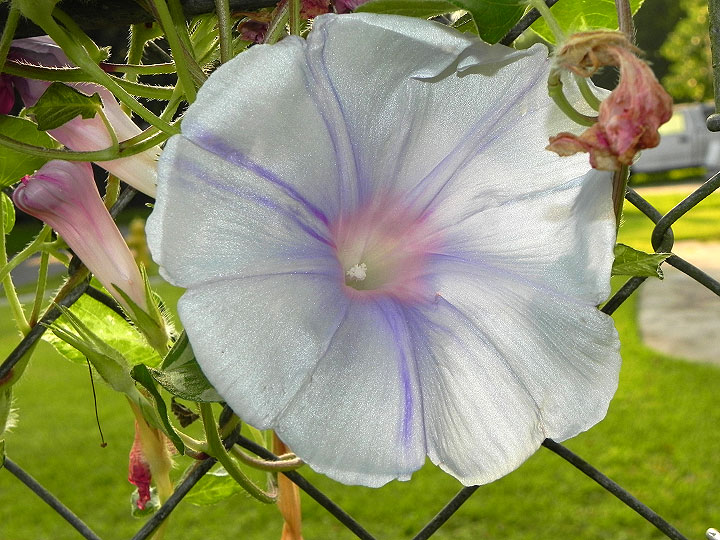 DSCN6852