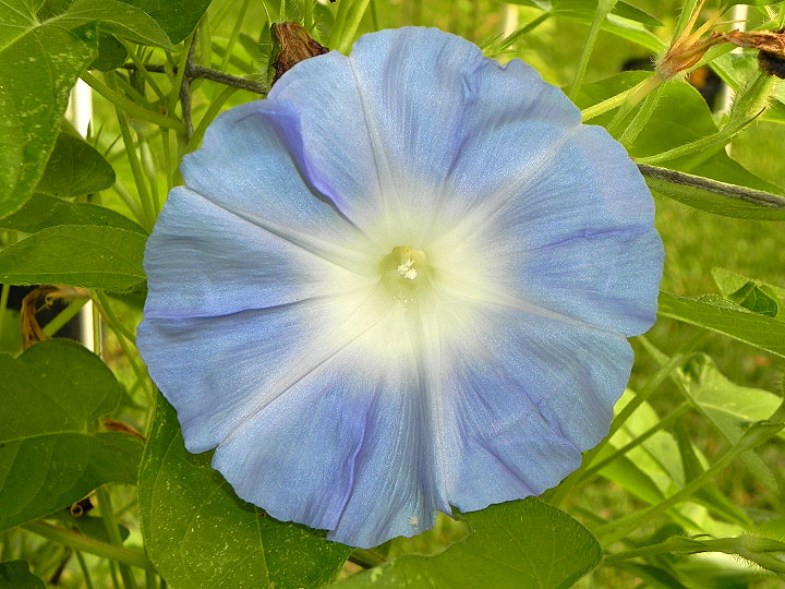 DSCN6900
