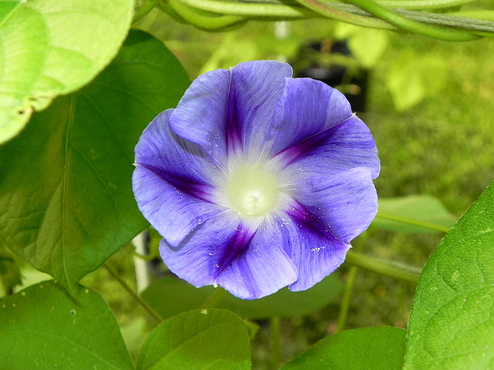 DSCN6953