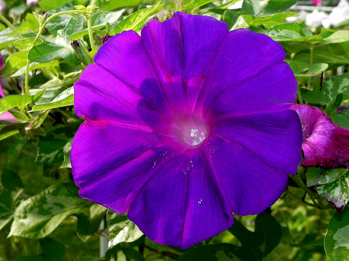 DSCN7197