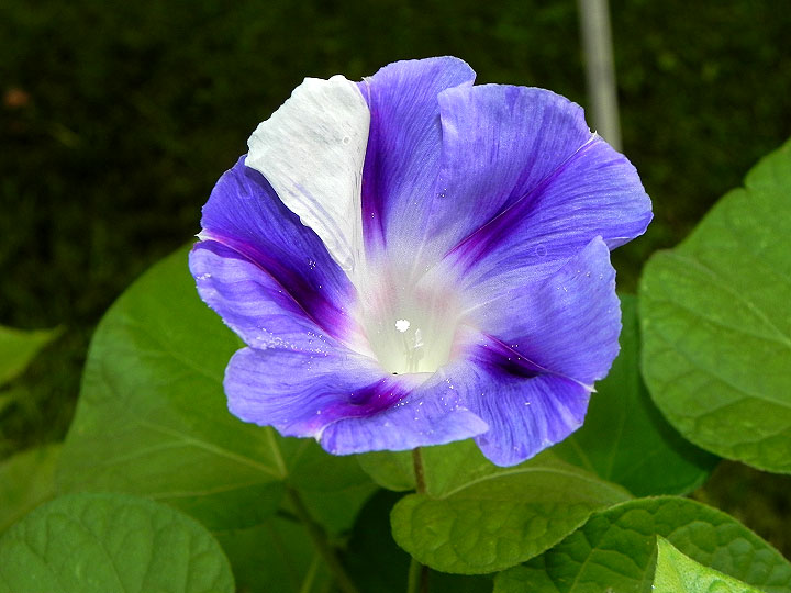DSCN7202
