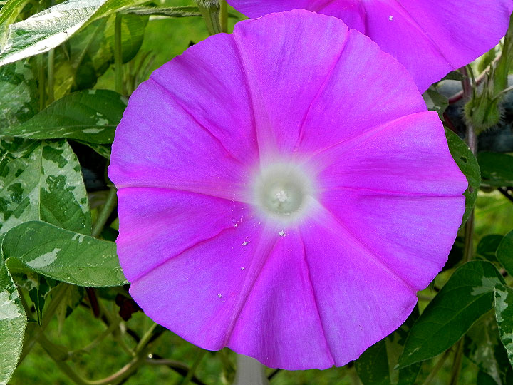 DSCN7275
