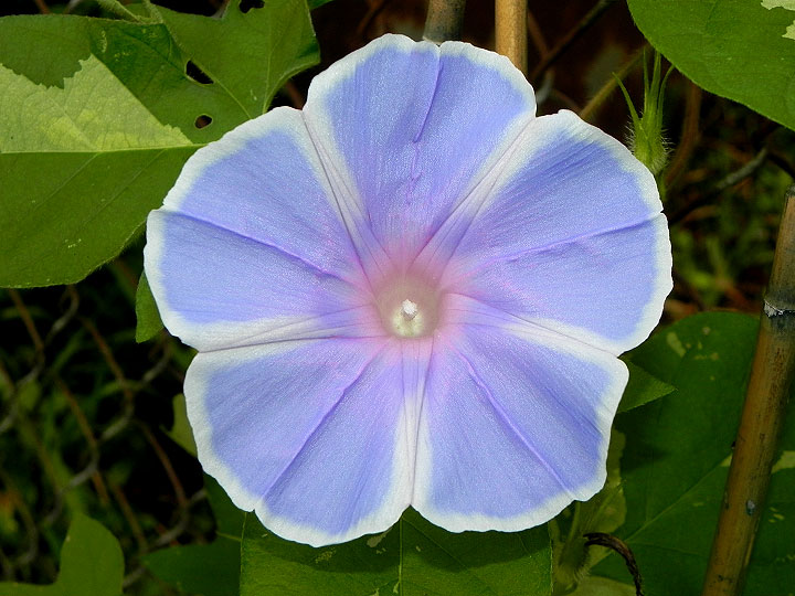DSCN7302