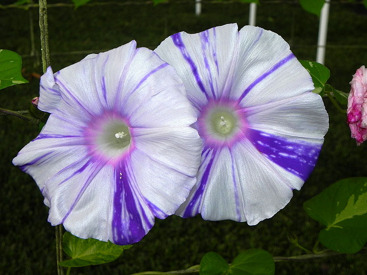 DSCN7315