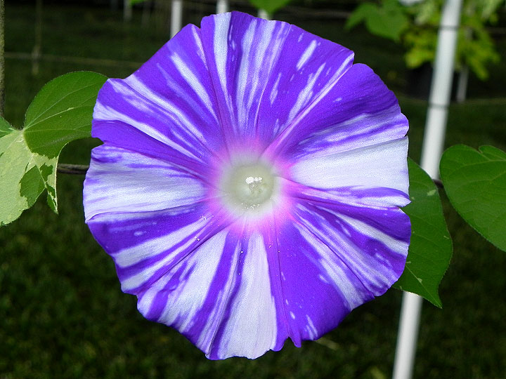 DSCN7317