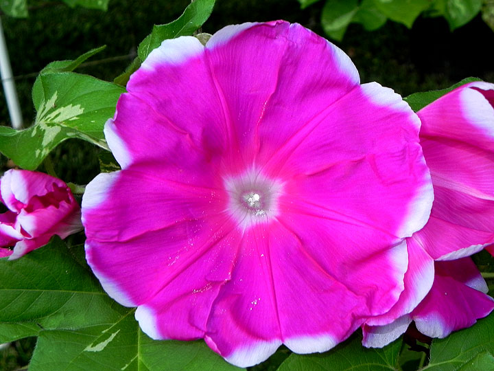 DSCN7327