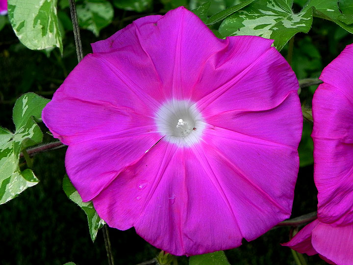 DSCN7329