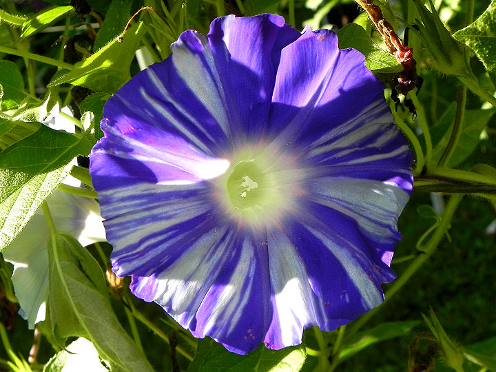 DSCN7381