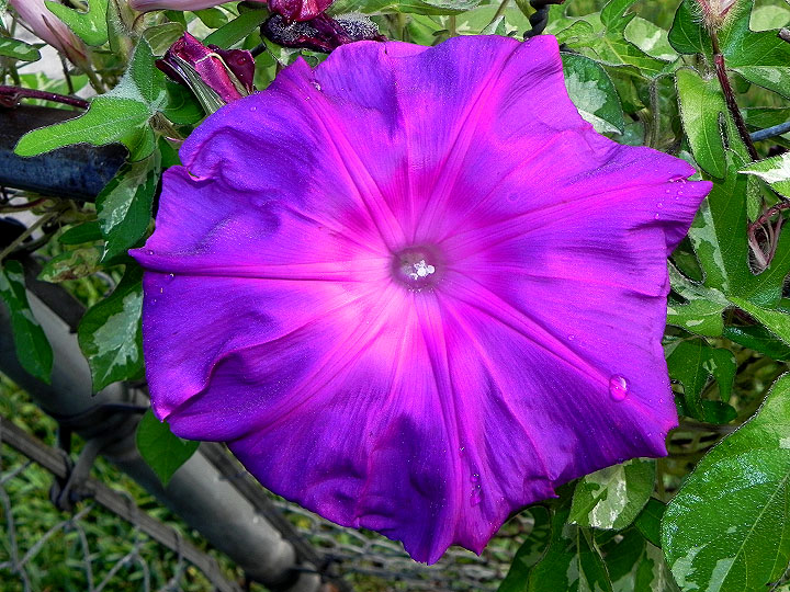 DSCN7460