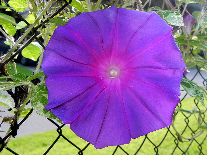 DSCN7462