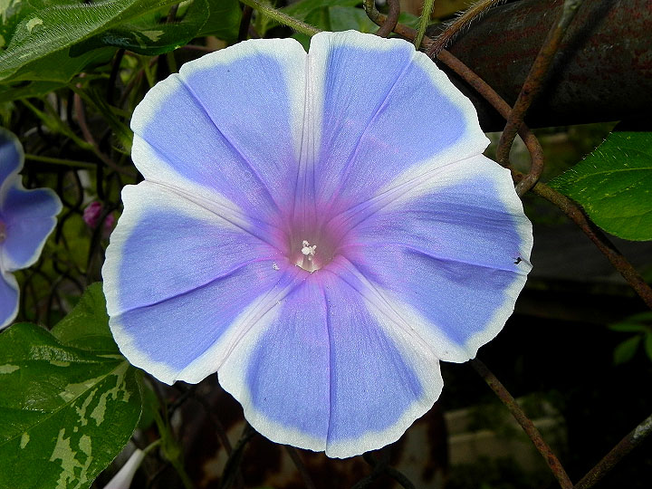 DSCN7522