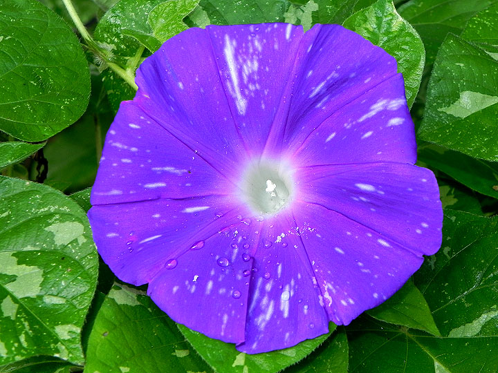 DSCN7538