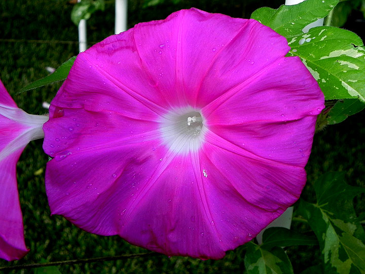 DSCN7544