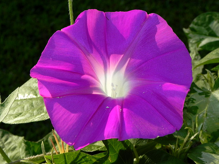 DSCN7656