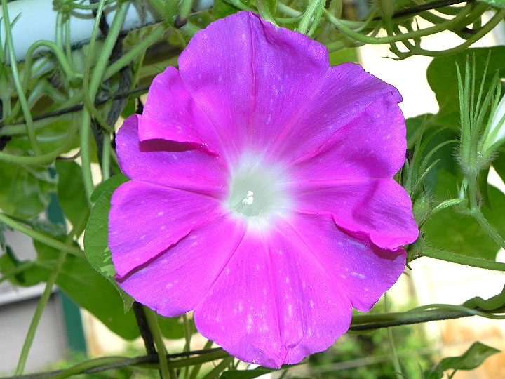 DSCN7818