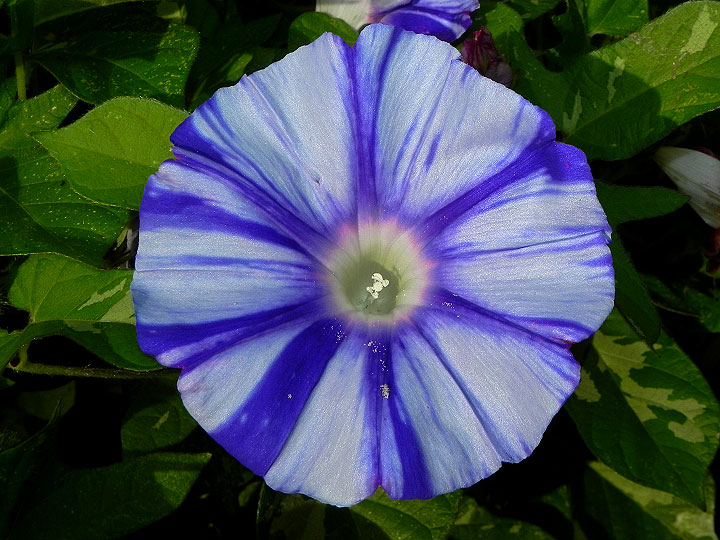 DSCN7847