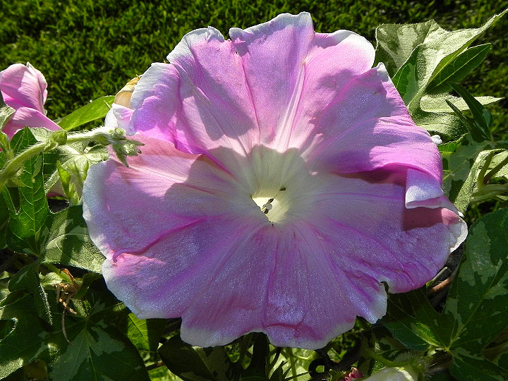 DSCN7869