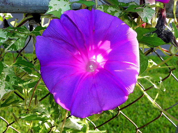 DSCN7894