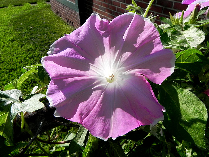 DSCN8026