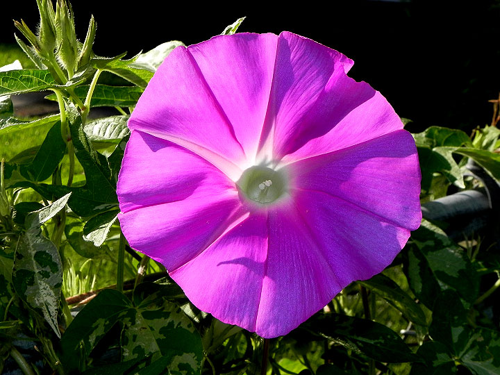 DSCN8056