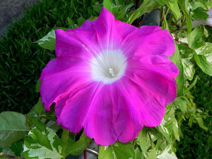 DSCN8210