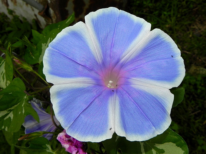 DSCN8276