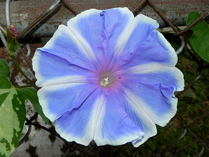 DSCN8278