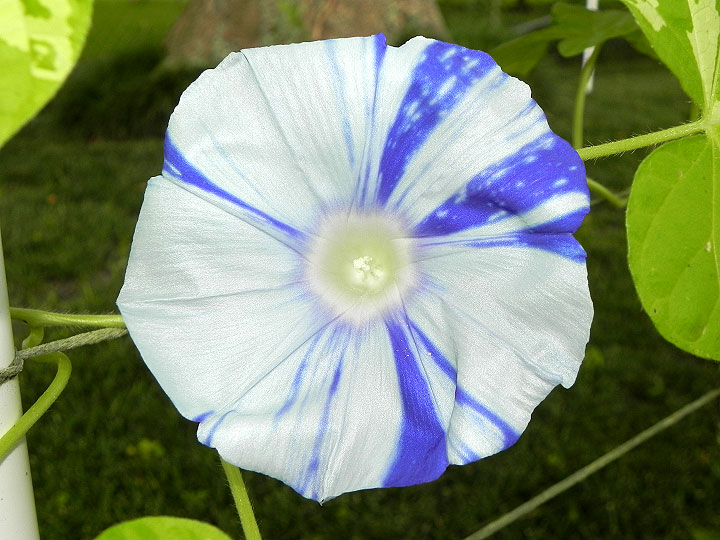 DSCN8280