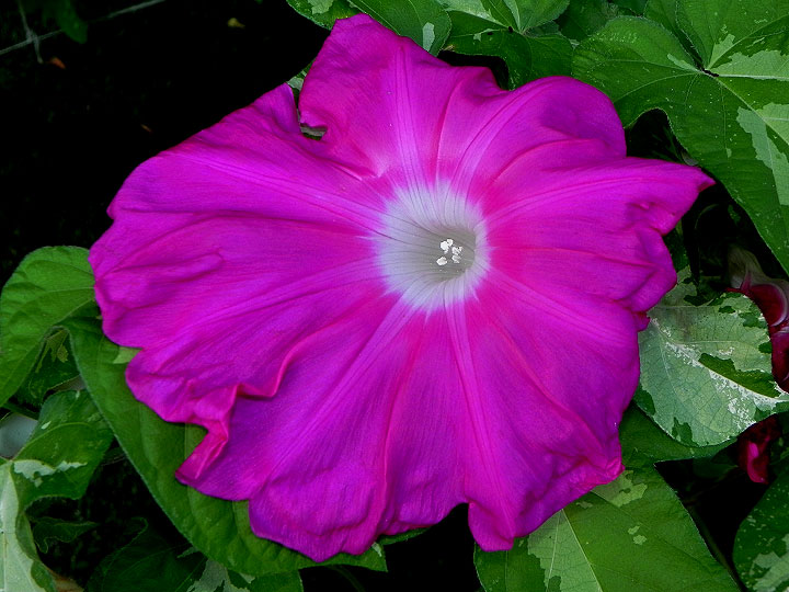 DSCN8293