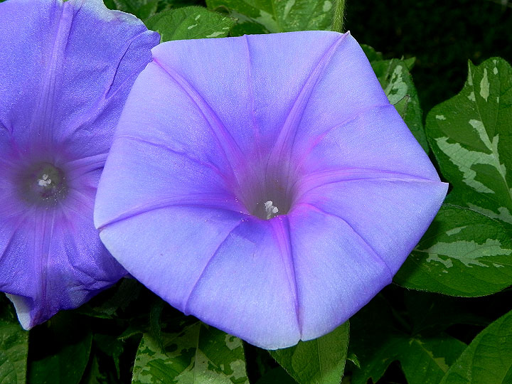 DSCN8302