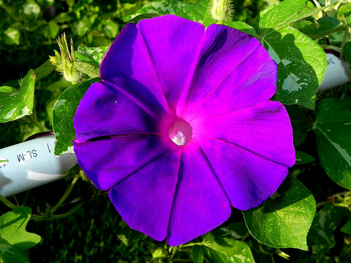 DSCN8336