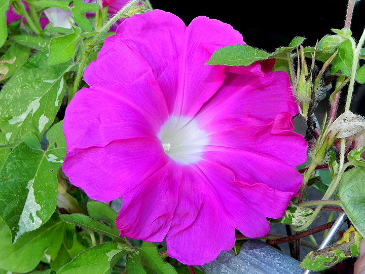 DSCN8512