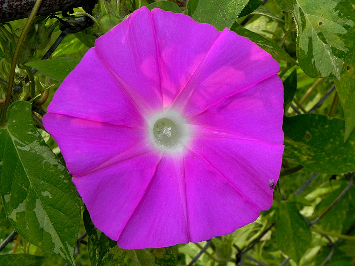 DSCN9038