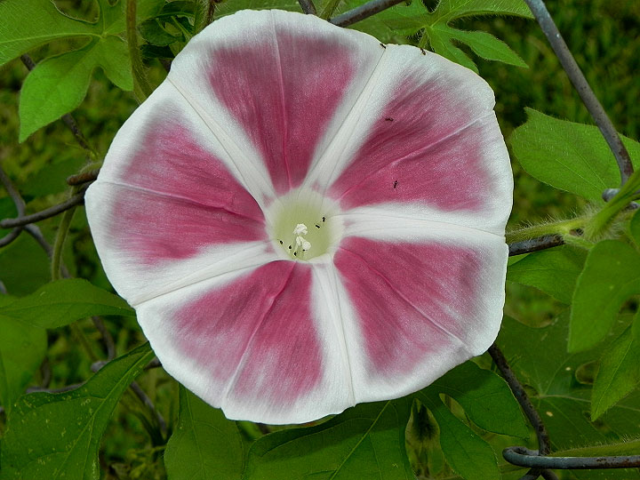 DSCN9080