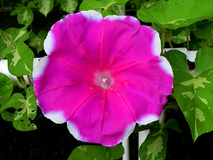 DSCN9107
