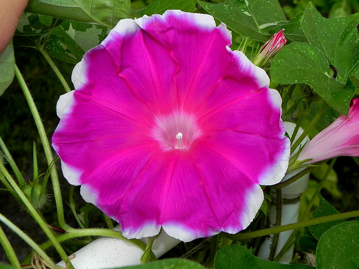 DSCN9109