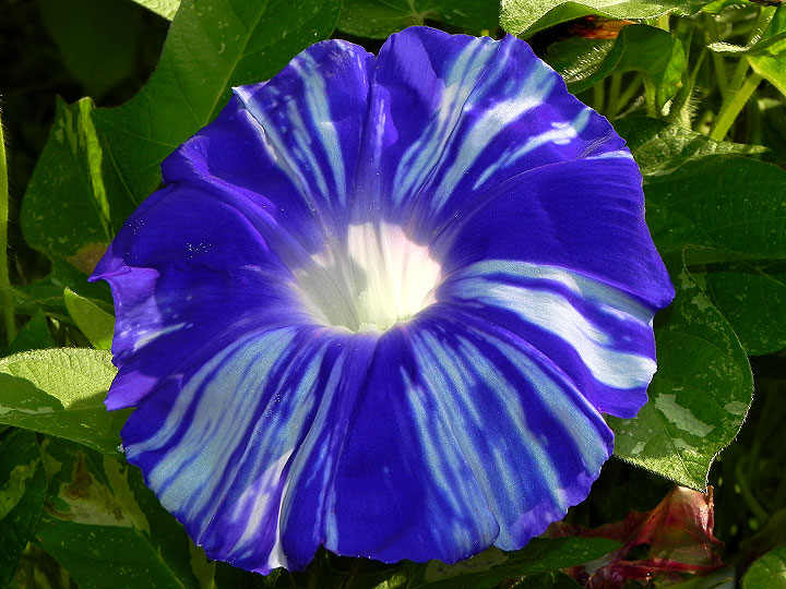 DSCN9138