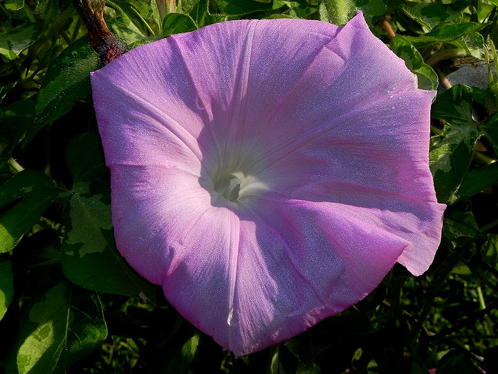 DSCN9269