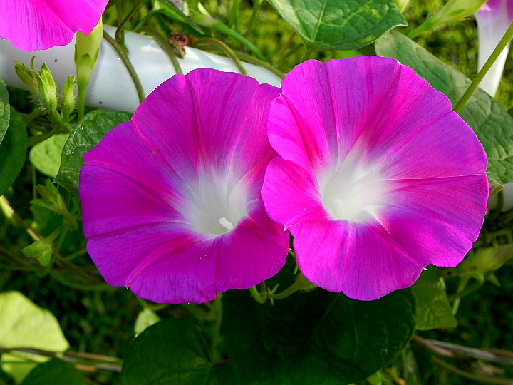 DSCN9273