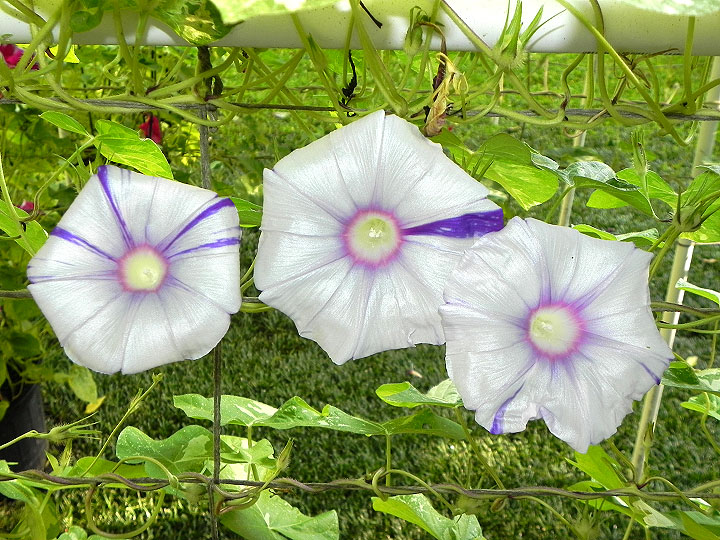 DSCN9344