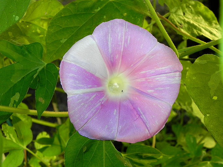 DSCN9374