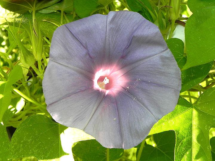 DSCN9386