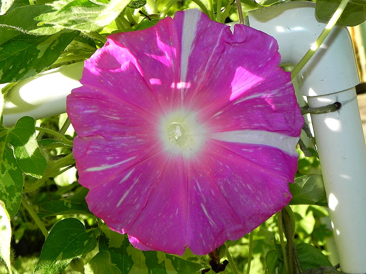 DSCN9389
