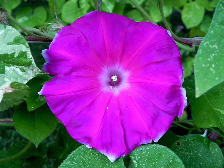 DSCN9514