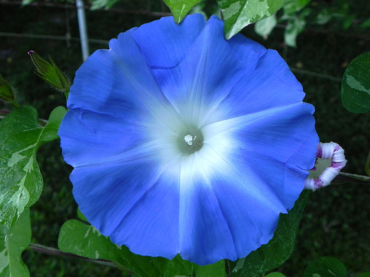 DSCN9519