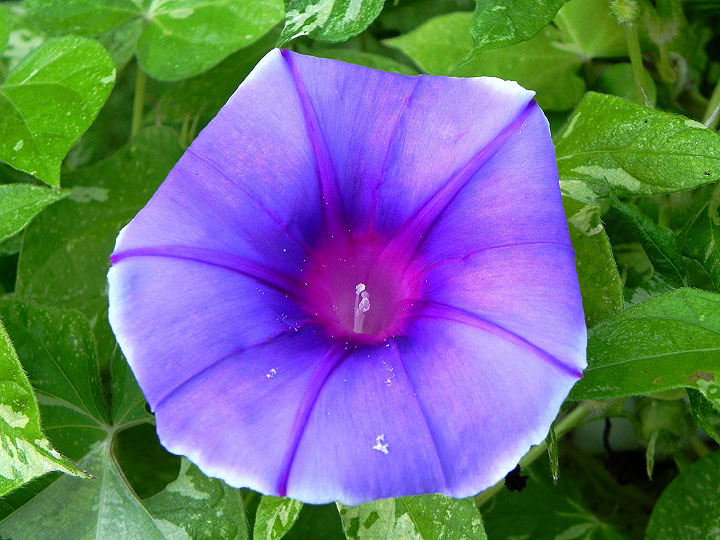 DSCN9525