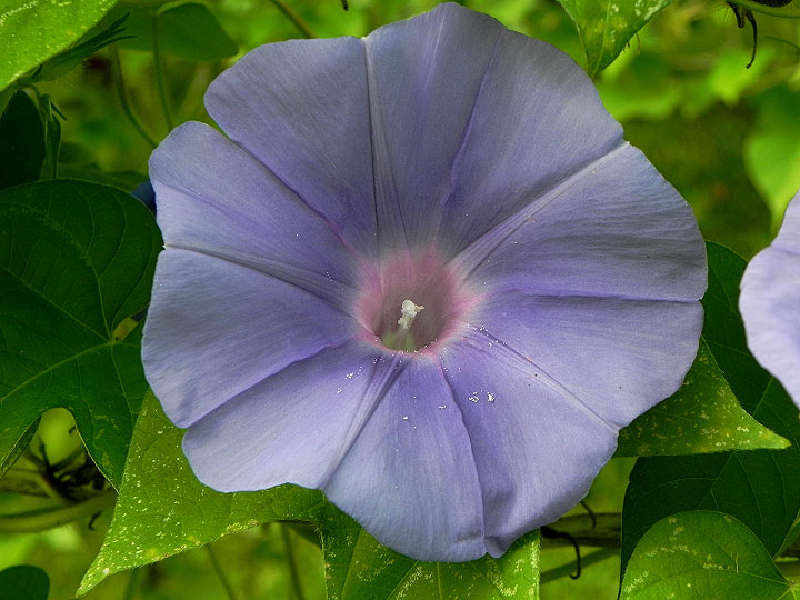 DSCN9538