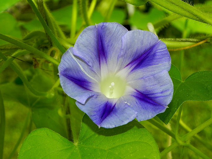 DSCN9566
